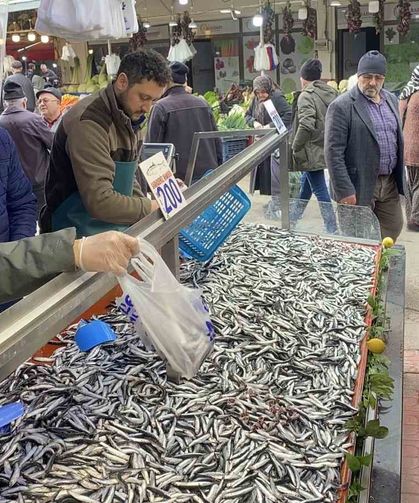 Bolu'da hamsi bolluğu sürüyor: Kilosu 200 liradan rağbet gördü