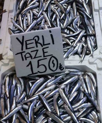 Hamsi bu defa şaşırttı: Tezgahlar yeniden şenlendi