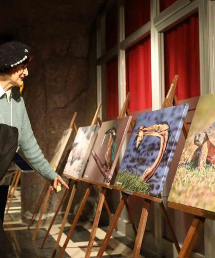 Kuş Cenneti'nden muhteşem kareler TBMM yolunda