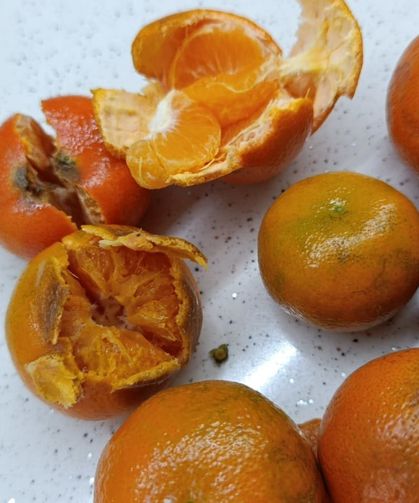 Pazardan aldığı 2 kilo mandalinanın yarısı çürük çıktı