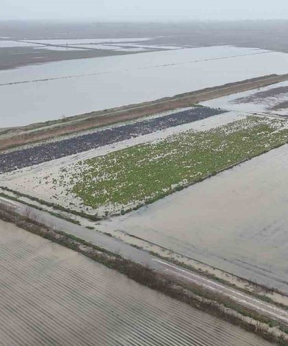 Sağanak yağmurdan sonra binlerce dönüm tarım arazisi sular altında kaldı