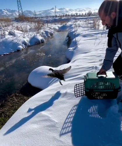 Soğuk hayata mola verdirdi