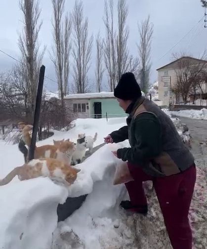 Sokak hayvanlarını beslemek için her yıl bin 400 kilometre yol geliyor