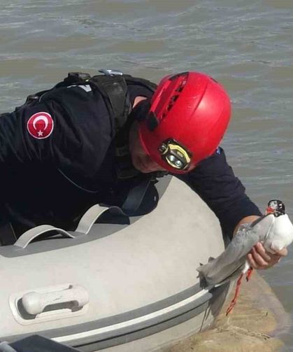 Antalya itfaiyesinden film gibi martı kurtarma operasyonu