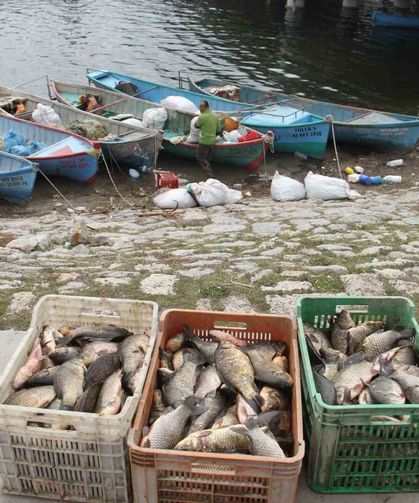 Beyşehir Gölü'nde av yasağı başlıyor