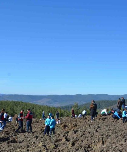 Emet'te zeytin fidanları toprakla buluştu