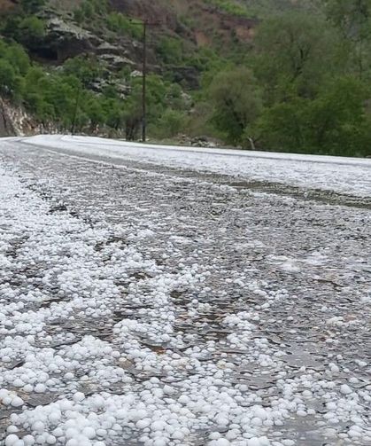 Erzincan'da dolu yağışı etkili oldu