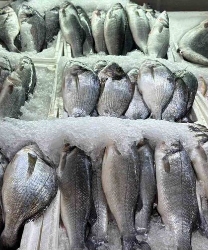 Kahramanmaraş'ta su ürünleri av yasağı başladı