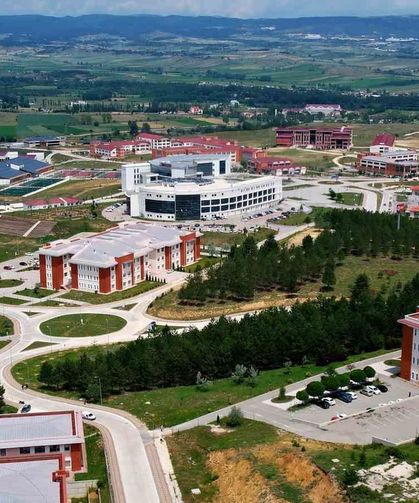Kastamonu Üniversitesi orman yangınlarıyla ilgili risk haritası oluşturacak