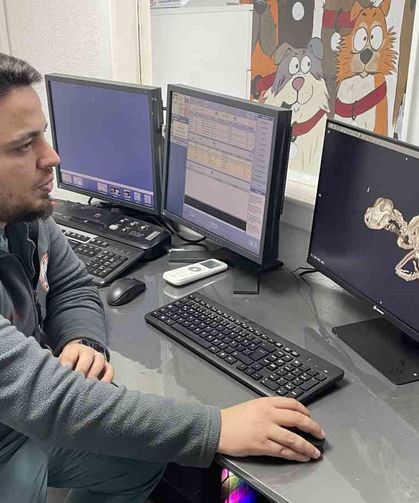 Kulağından beynine tümör yayılan sokak köpeği zorlu operasyonla hayata tutundu