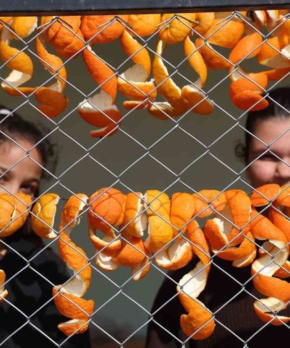 Limon ve turunç kabukları kadınların elinde değerleniyor