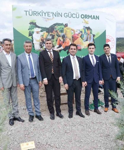 Manisa'da yanan alanlar yeniden yeşeriyor