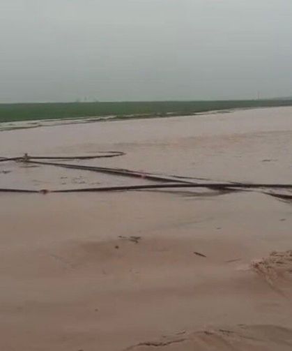 Mardin'de sağanak hayatı felç etti: Dereler taştı, ahır çöktü