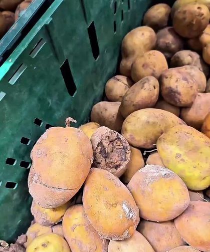 Market raflarında tarihi geçmiş tavuk ve içecek alarmı