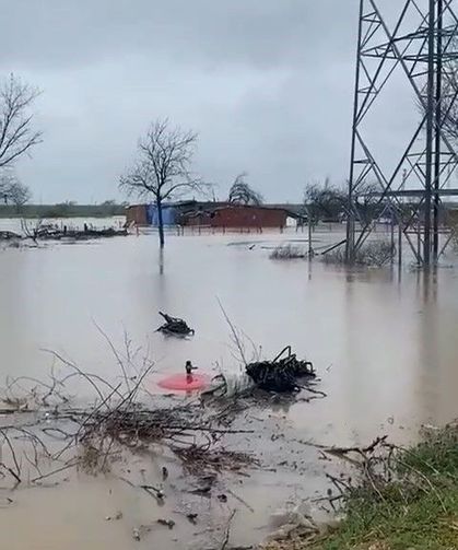 Sağanak Bursa'yı vurdu: Tarlalar göle döndü, hayvanlar mahsur kaldı