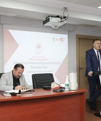 Trabzon'da kahverengi kokarca ile mücadelede yol haritası belirlendi