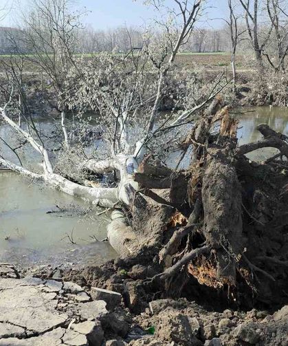 Tunca Nehri kıyısında toprak kayması: 9 yıl sonra gelen taşkınlar zemini etkiledi