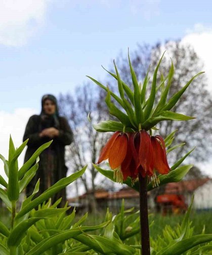 Ağlayan gelinler 5 yıl sonra baharı karşıladı