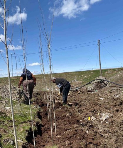 Ağrı'da vatandaşlar imece usulü fidan dikerek geleceğe nefes oluyor