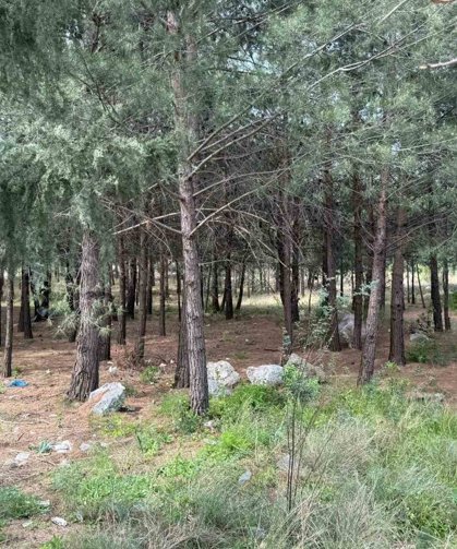 Anne ve oğlunu öldüren katil akrabaların çaldıkları altınları kuyumcuya sattıkları ortaya çıktı