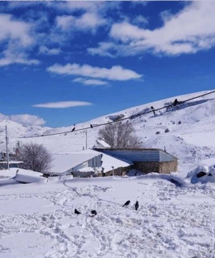 Aşkale'de nisan ayında kar sürprizi: Baharda kar yağışı etkili oldu