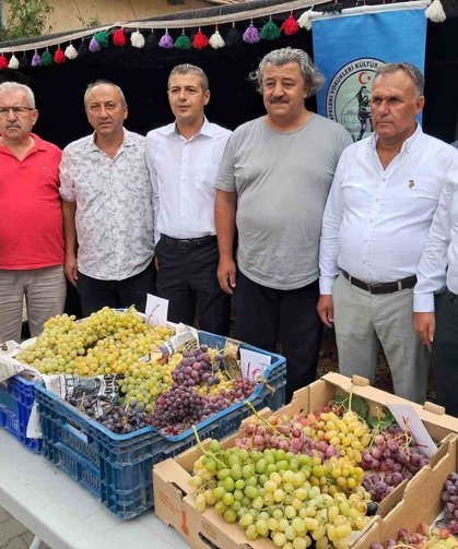 Avşar Üzümü coğrafi işaretle tescillendi