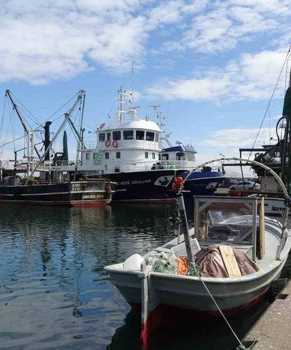 Balıkta bereketli sezon: 'Halk bu yıl balığa doydu'