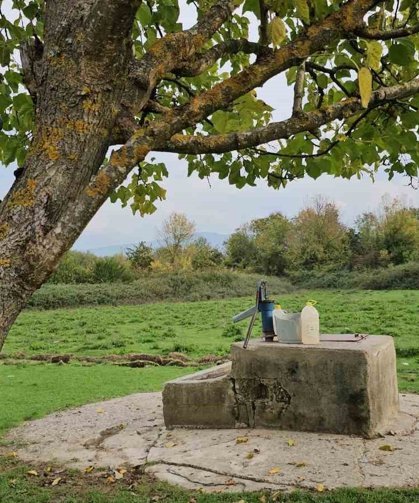 Cesedi su kuyusunda bulunan 17 yaşındaki Hasret'in katil zanlısına müebbet hapis cezası talebi