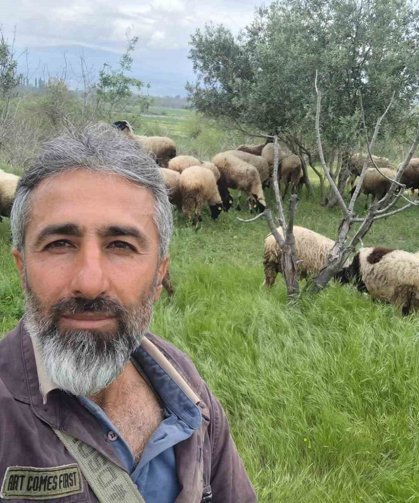 Çeşme sakızı ile Fransız koçunu birleştirdi, verimi katladı