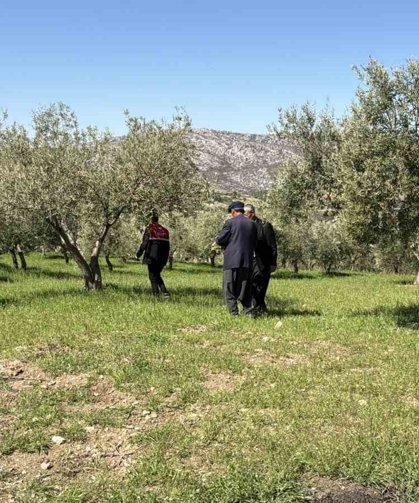 Dolu sonrası hasar tespit çalışmaları başladı