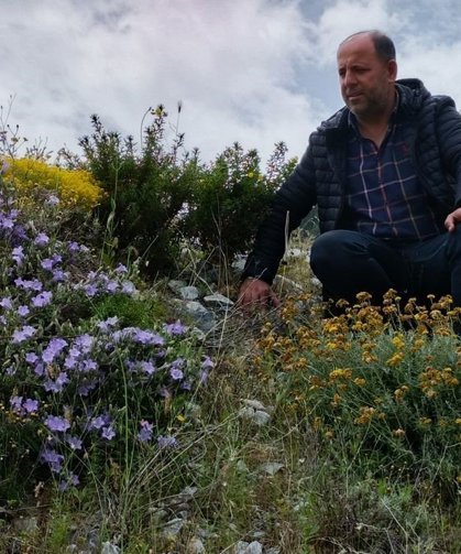 Dünyada sadece Aydın'da yetişen 'Küçük Çan' yok olma tehlikesiyle karşı karşıya