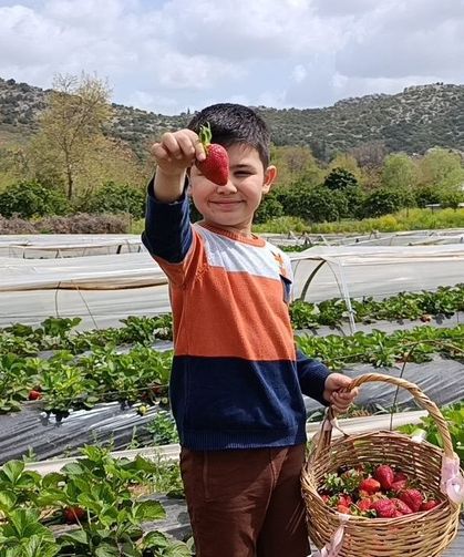 Hasadı çiftçi değil, vatandaş yaptı