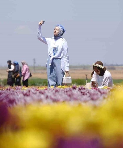 Karaman'da lale tarlasına ziyaretçi akını: 2 günde 30 bin kişi gezdi