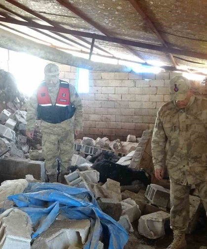 Kilis'te toprak kayması: Ahır çöktü, 40 hayvan telef oldu