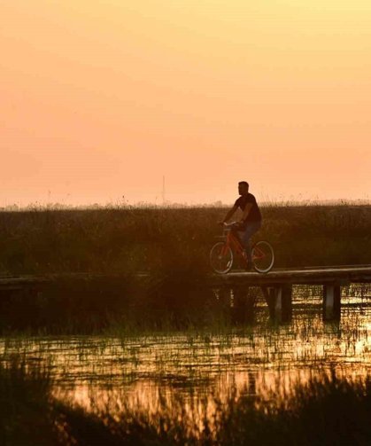 Kızılırmak Deltası Kuş Cenneti'nde bahar coşkusu