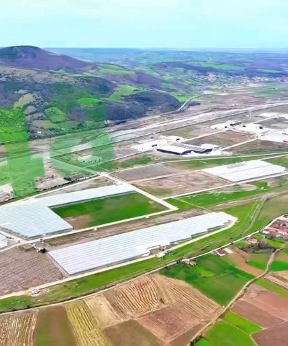Modern tarımın yeni adresi Bafra: Karadeniz'de başarı hikayesi yazılıyor