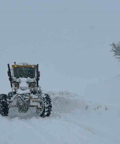 Muş'ta 55 köy yolu kapandı