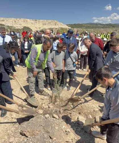 Taşınan her zeytin ağacına karşılık fidan: Milas'ta 4 bin zeytin toprakla buluştu