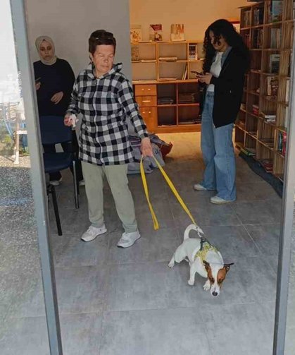 Ukraynalı kadın hayatının şokunu yaşadı, kurt köpeğiyle dalaşan kucağındaki köpeği parmağını parçaladı