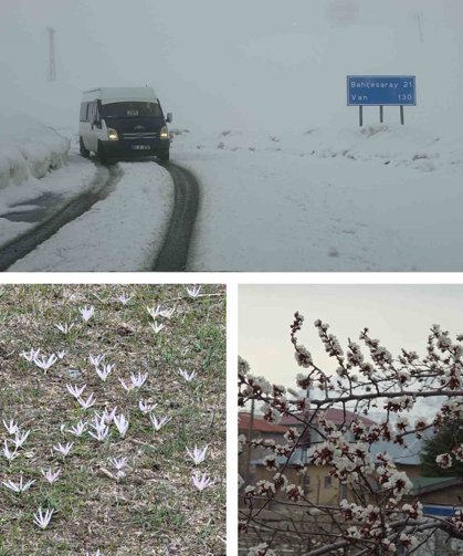 Van'da iki mevsim bir arada: Bir yanda bahar, diğer yanda kış