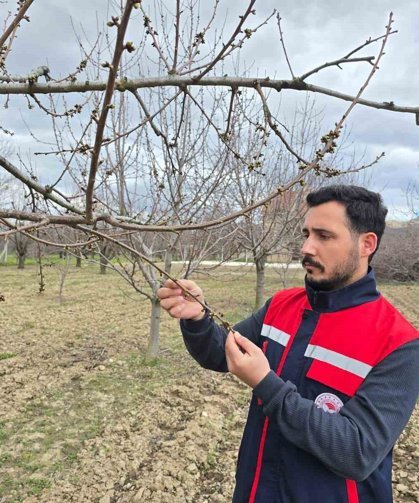 Zirai don olaylarına karşı meyve bahçelerinde kontroller sürüyor
