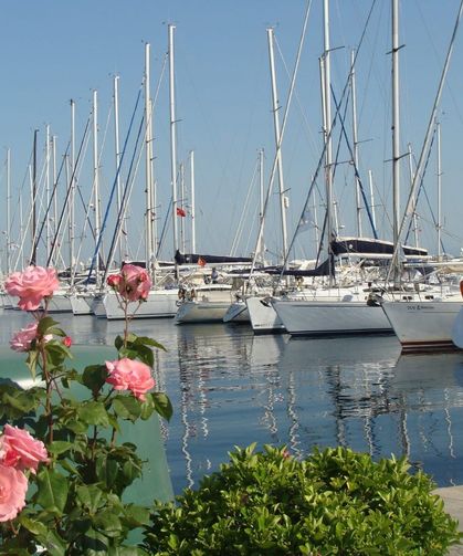 Türkiye kıyıları artık dünya markası