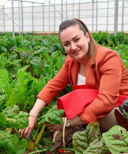 5. Uluslararası Antalya FoodFest Gastronomi Festivali Akdeniz yeşillikleri hasadıyla başladı