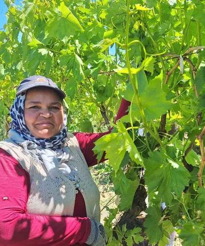 Bayram öncesi bağlarda mesai arttı