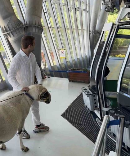 Bayramda keseceği koçla teleferik keyfi yaptı