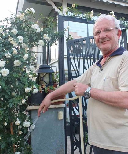 Burhaniye Ören de bahçelerde gül güzelliği yaşanıyor