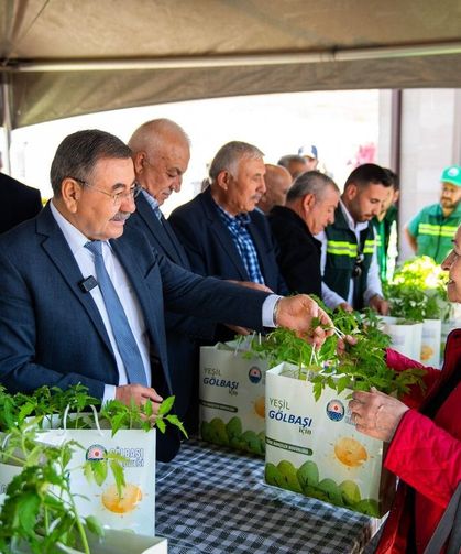 Gölbaşı'nda vatandaşlara 190 bin ata tohumu fidesi dağıtıldı