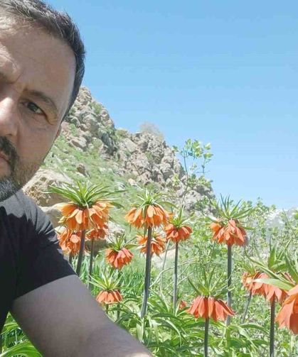 Hakkari'de 2 bin 700 rakımda ters laleler görüntülendi
