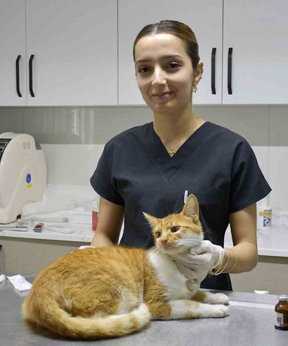 Kuşadası'nda sokak hayvanlarına ücretsiz şifa eli