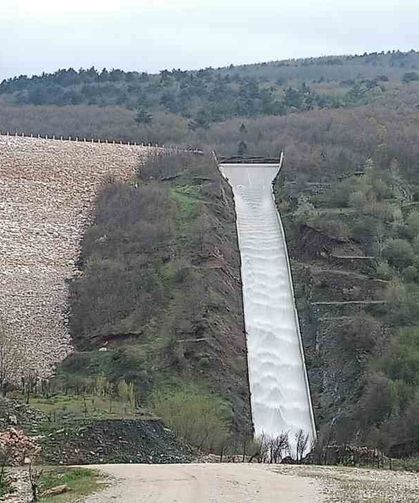 Pazaryeri tarımında altın dönem başlıyor